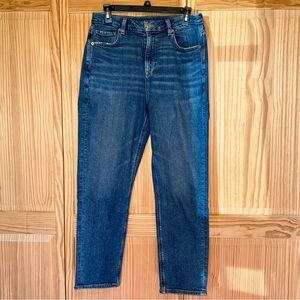 American Eagle Curvy Mom Jeans size 8